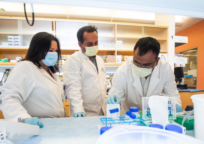 From left, Chandrani Sarkar, Ph.D., Debanjan Chakroborty, Ph.D., and Sandeep Goswami, Ph.D., are studying a potential therapeutic target for advanced colon cancer at the Mitchell Cancer Institute.
