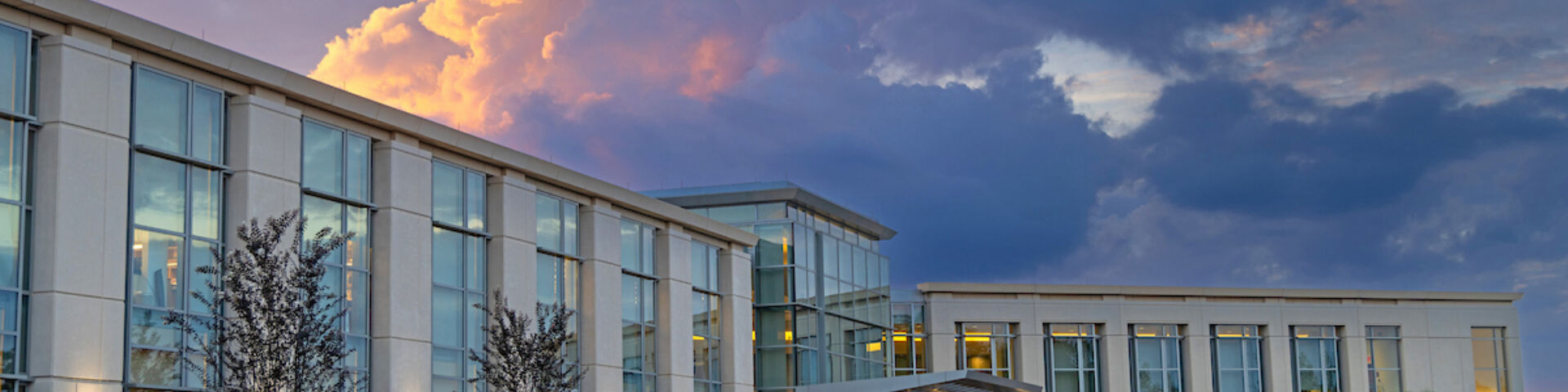 Mitchell Cancer Institute