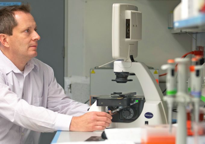 Glen Borchert, Ph.D., associate professor of pharmacology, is studying the survival of Salmonella bacteria during cellular stress.