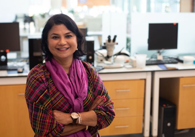 Seema Singh, Ph.D.