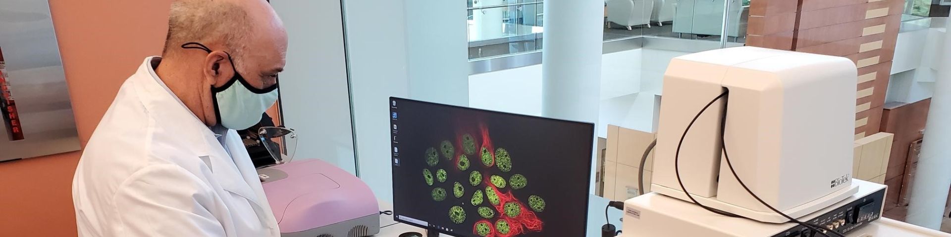 Robert W. Sobol, Ph.D., conducts research at the Mitchell Cancer Institute.