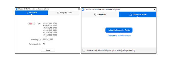 Zoom Audio Choices